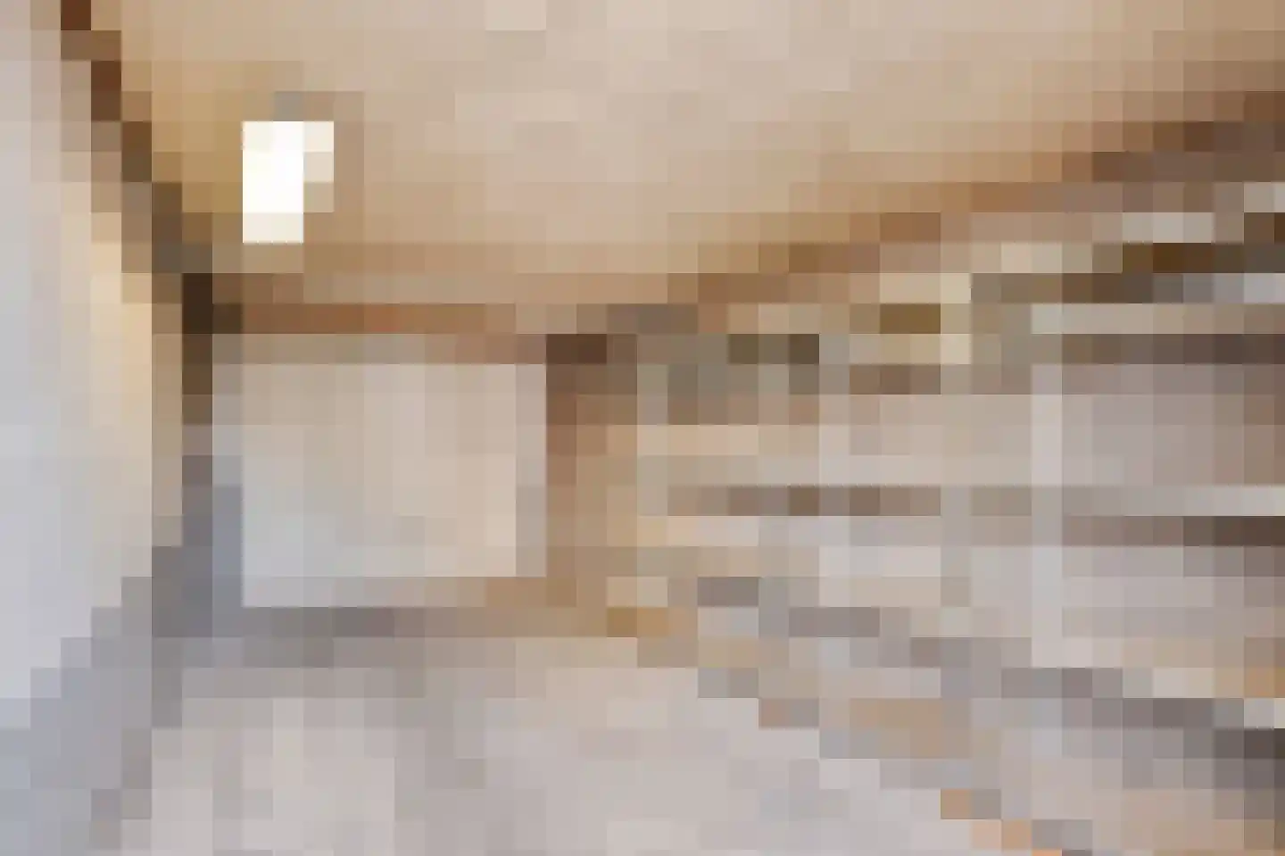 Agniese van Langerakdreef 7 Vianen thumbnail 40