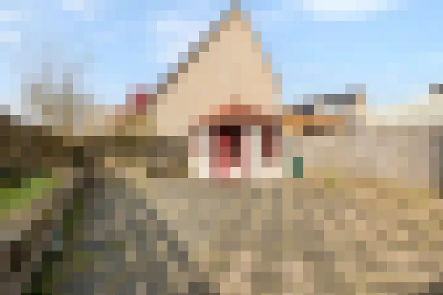 Agniese van Langerakdreef 7 Vianen thumbnail 42