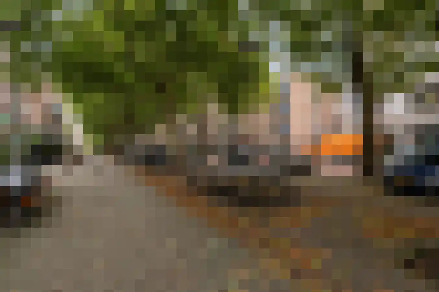 Agniesestraat 5 B 01 Rotterdam thumbnail 12