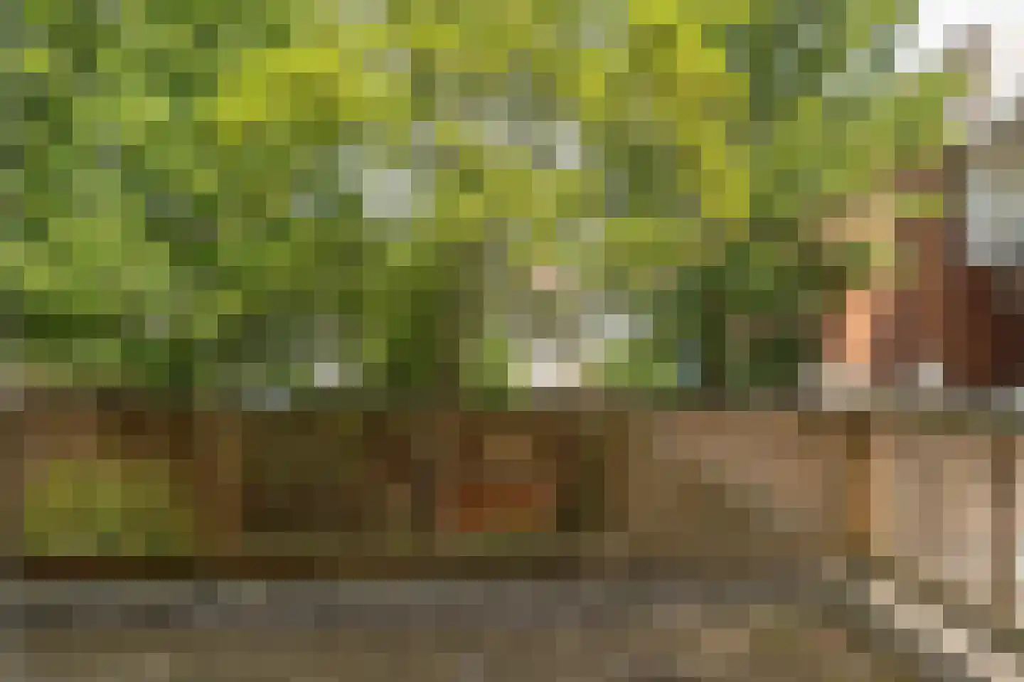 Agniesestraat 5 B 01 Rotterdam thumbnail 4