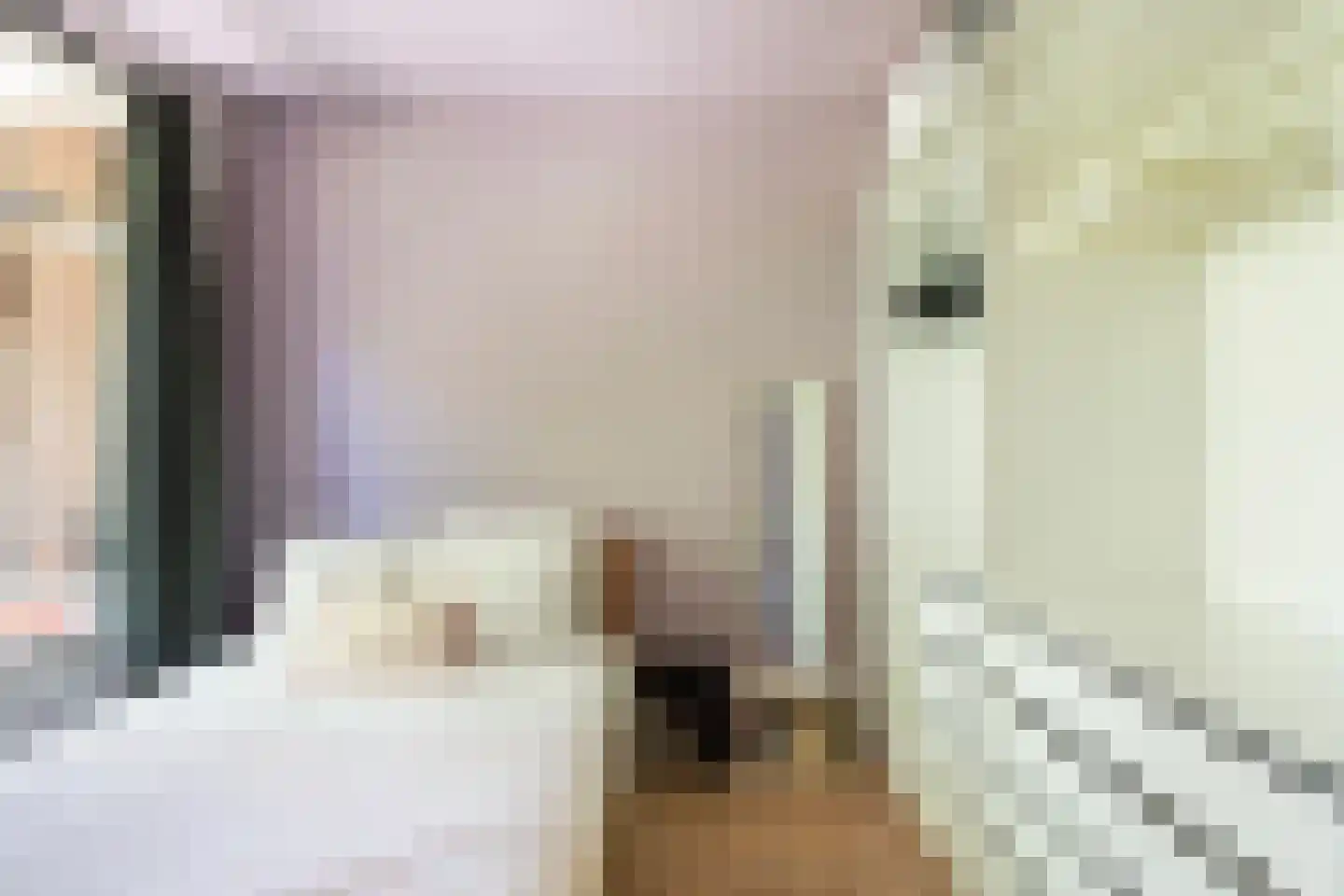 Agniesestraat 9 C Rotterdam thumbnail 26