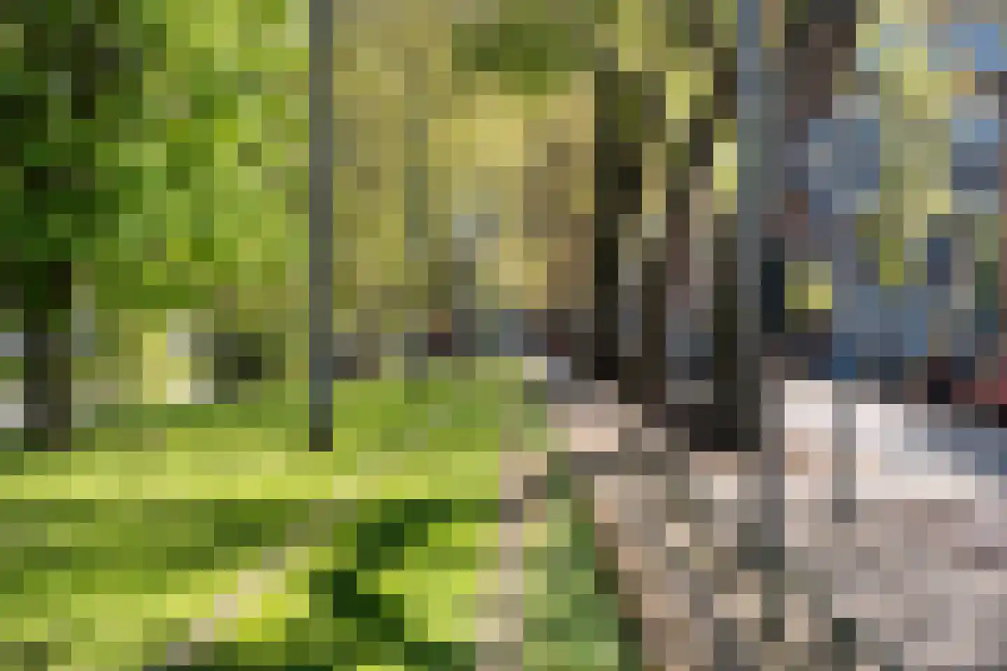 Agniesestraat 9 C Rotterdam thumbnail 36