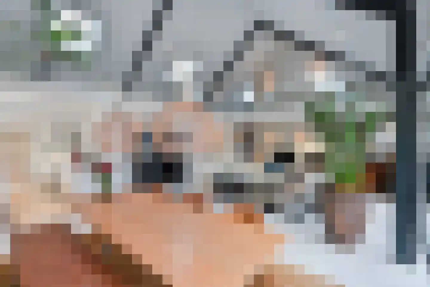 Agnietenbergweg 7 Zwolle thumbnail 16