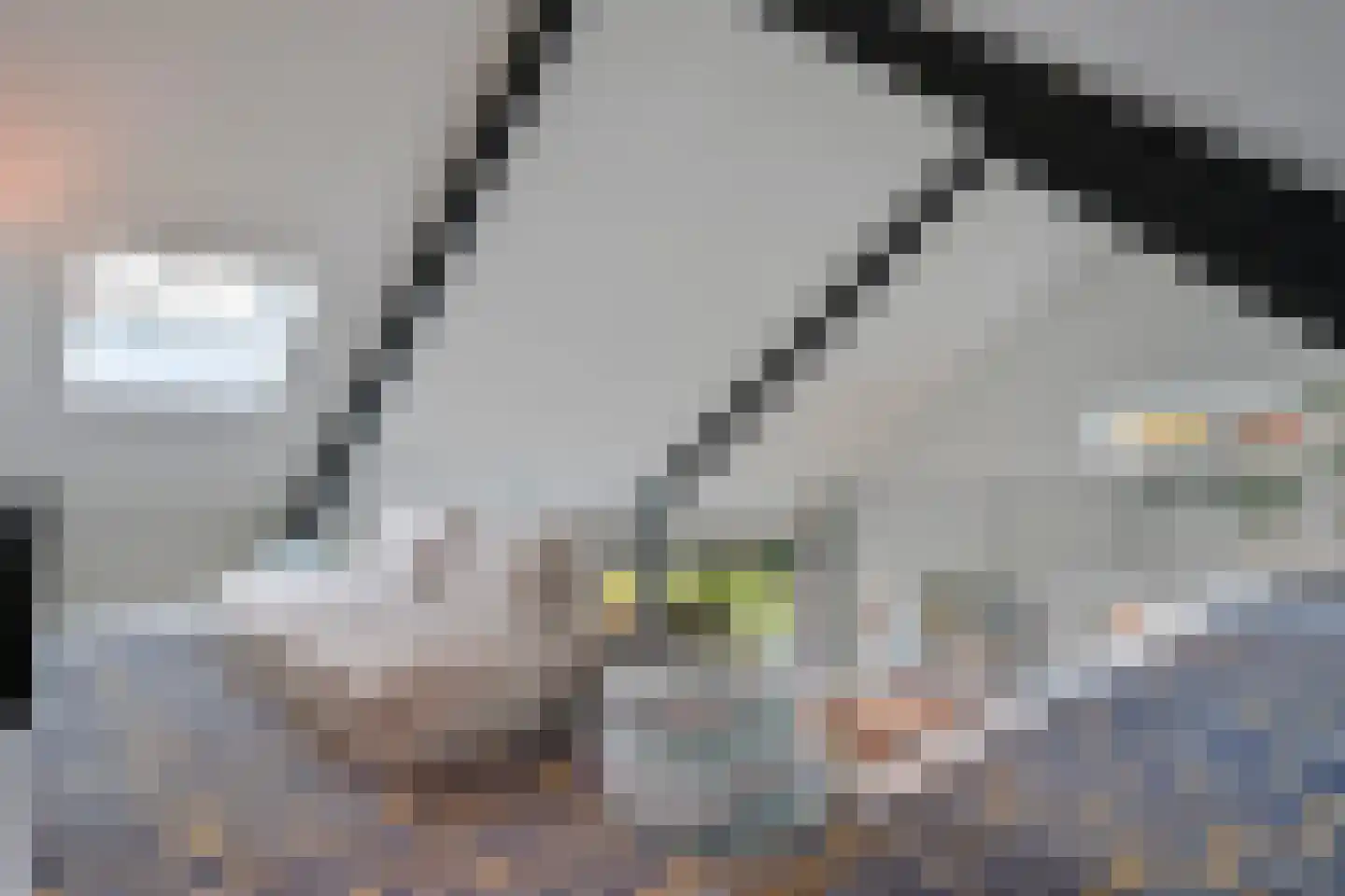 Agnietenbergweg 7 Zwolle thumbnail 36