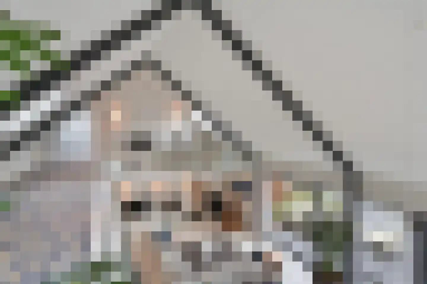 Agnietenbergweg 7 Zwolle thumbnail 38