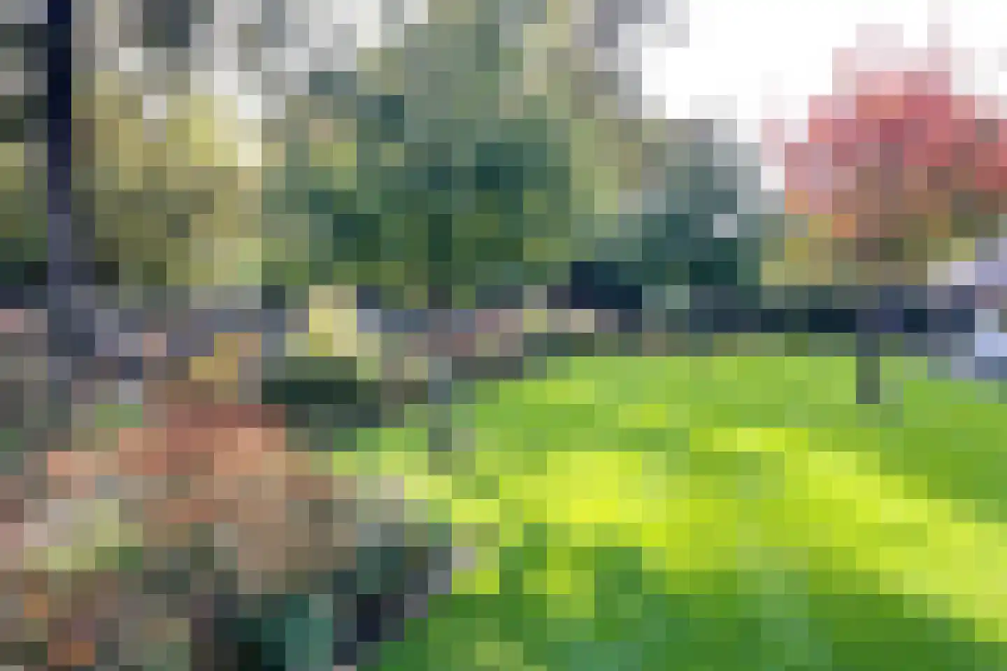 Agnietenbergweg 7 Zwolle thumbnail 51