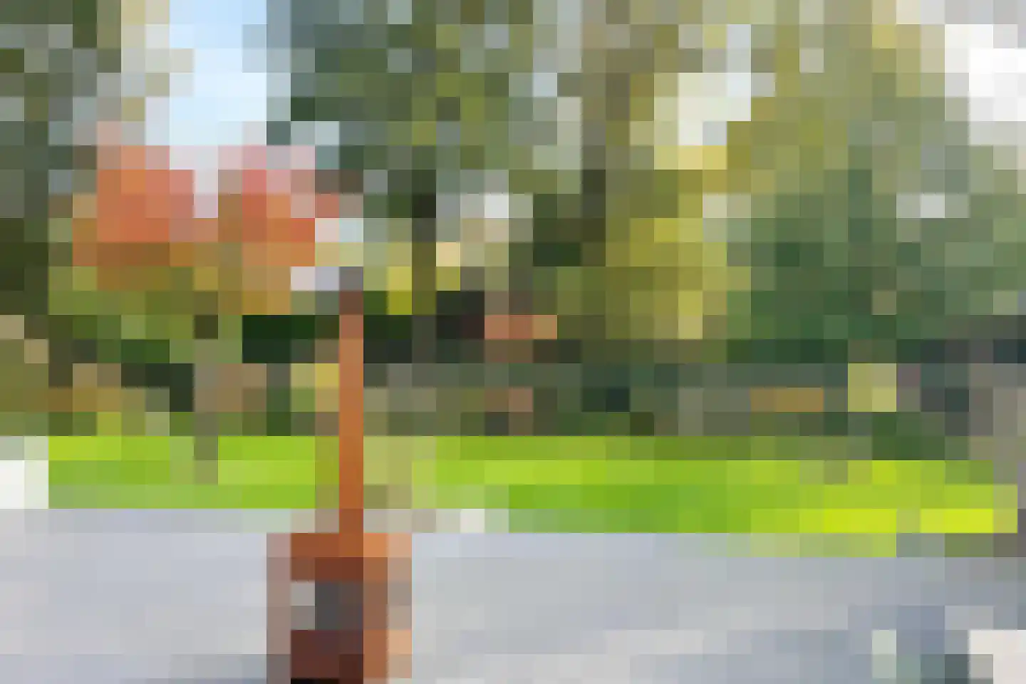 Agnietenbergweg 7 Zwolle thumbnail 52
