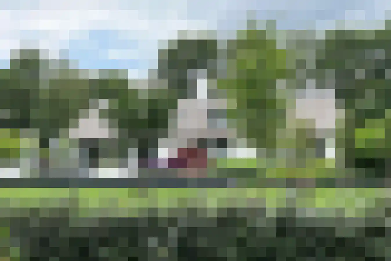 Agnietenbergweg 7 Zwolle thumbnail 53