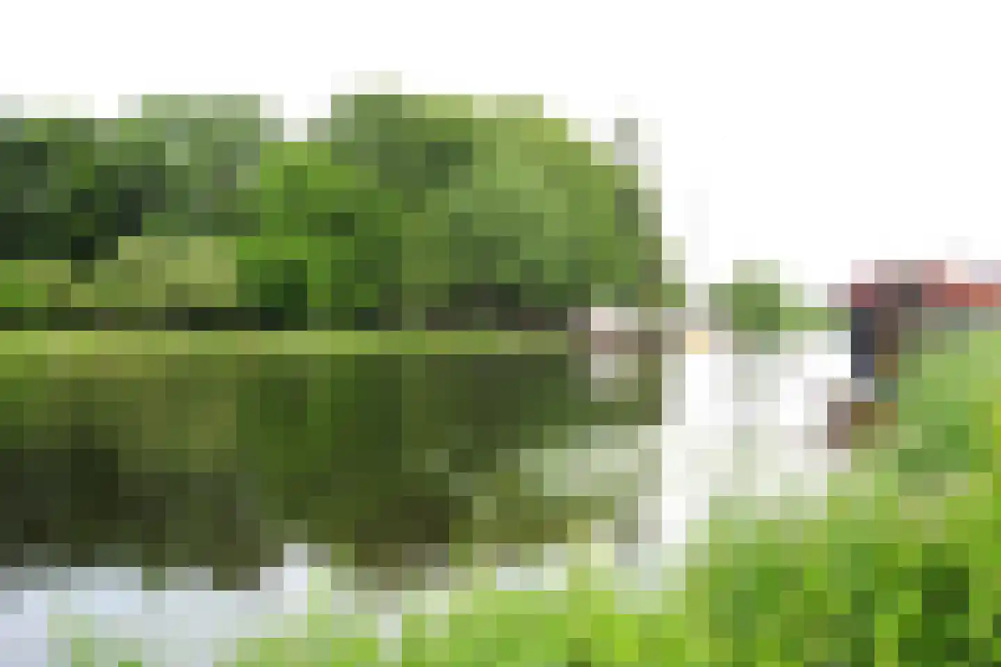 Agnietenbergweg 7 Zwolle thumbnail 56