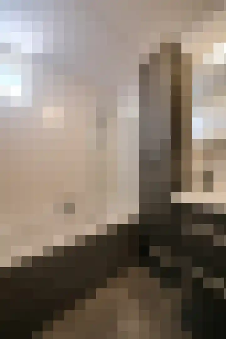 Agnietendaal 10 Ede thumbnail 17