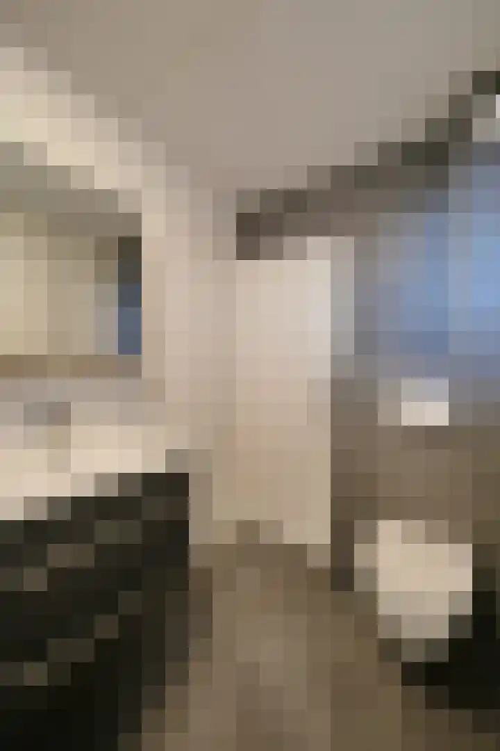 Agnietendaal 10 Ede thumbnail 19
