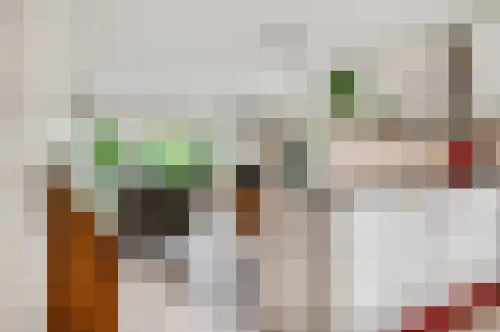 Agnietendaal 63 Ede thumbnail 7