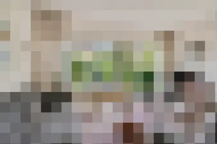 Agnietendaal 63 Ede thumbnail 8