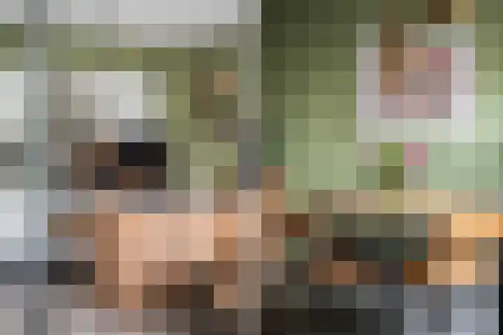 Agnietenhof 31 Dalfsen thumbnail 10