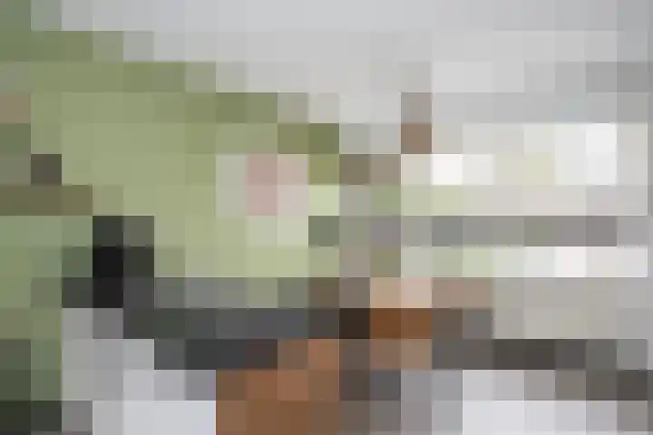 Agnietenhof 31 Dalfsen thumbnail 11