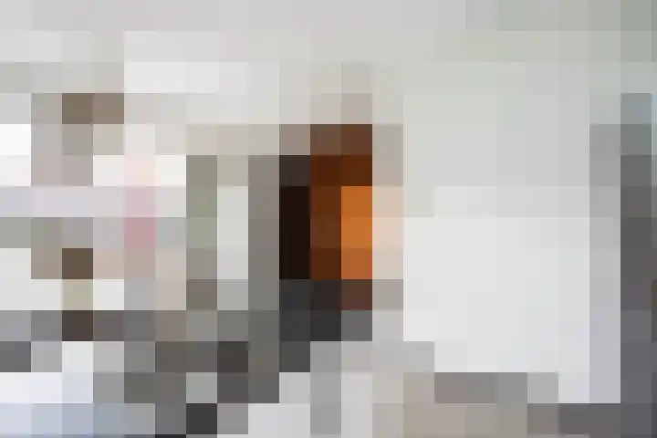 Agnietenhof 31 Dalfsen thumbnail 12