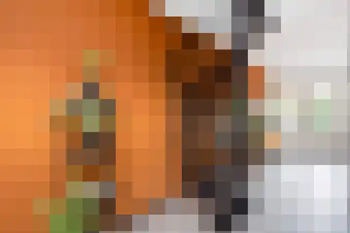 Agnietenhof 31 Dalfsen thumbnail 13