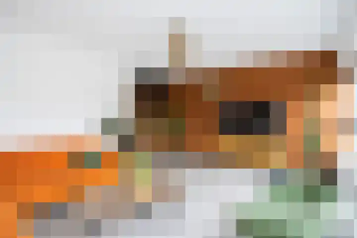 Agnietenhof 31 Dalfsen thumbnail 14