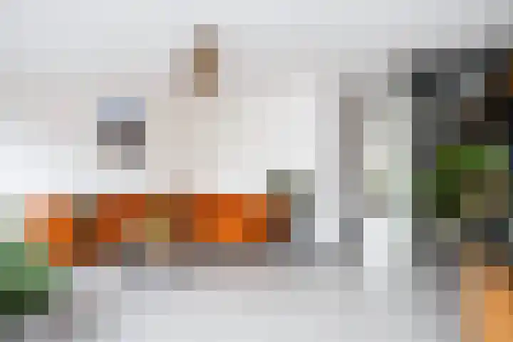 Agnietenhof 31 Dalfsen thumbnail 15