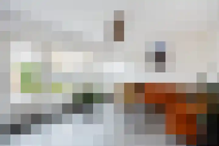 Agnietenhof 31 Dalfsen thumbnail 16