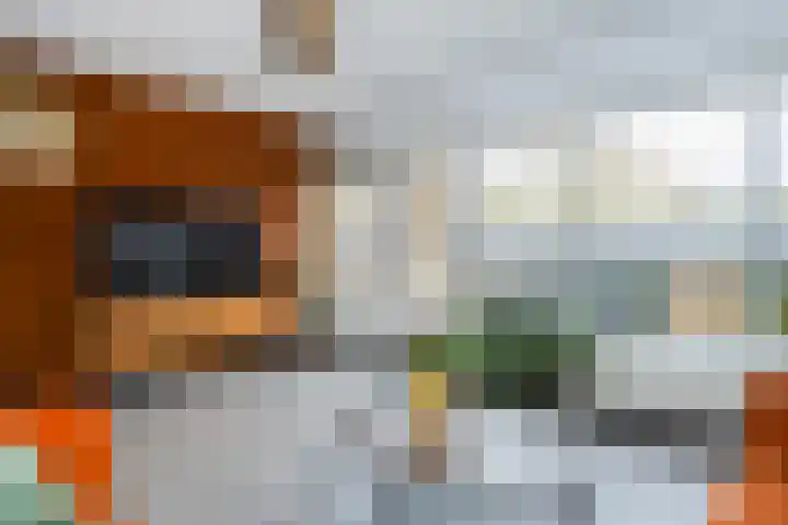 Agnietenhof 31 Dalfsen thumbnail 17