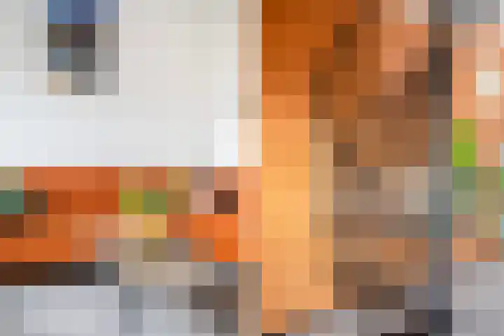 Agnietenhof 31 Dalfsen thumbnail 18