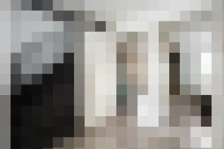 Agnietenhof 31 Dalfsen thumbnail 19