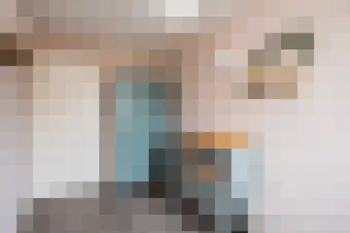 Agnietenhof 31 Dalfsen thumbnail 21