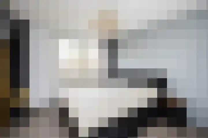 Agnietenhof 31 Dalfsen thumbnail 22