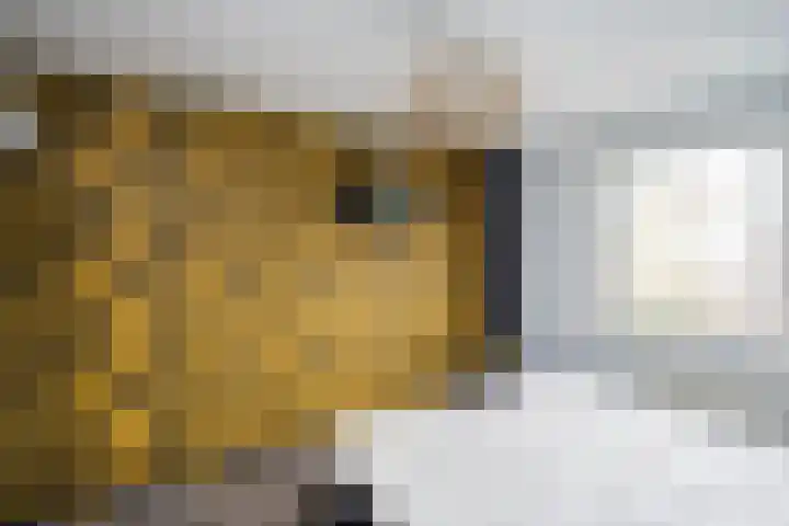 Agnietenhof 31 Dalfsen thumbnail 24