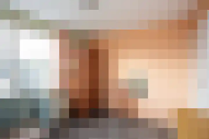 Agnietenhof 31 Dalfsen thumbnail 26
