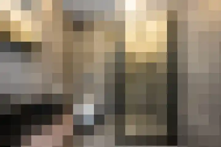 Agnietenhof 31 Dalfsen thumbnail 29