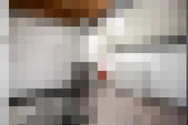 Agnietenhof 31 Dalfsen thumbnail 31