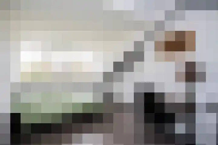 Agnietenhof 31 Dalfsen thumbnail 32