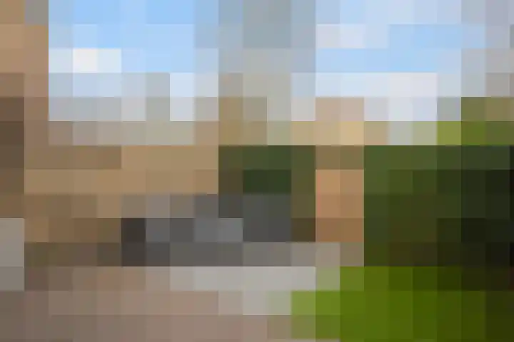 Agnietenhof 31 Dalfsen thumbnail 35
