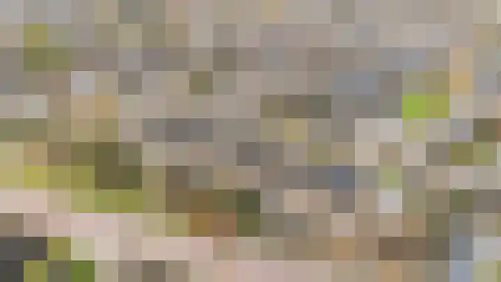 Agnietenhof 31 Dalfsen thumbnail 38