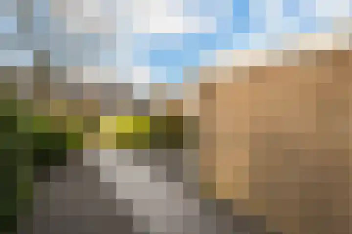 Agnietenhof 31 Dalfsen thumbnail 5
