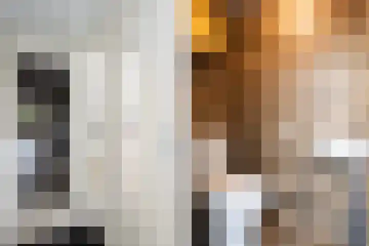 Agnietenhof 31 Dalfsen thumbnail 6