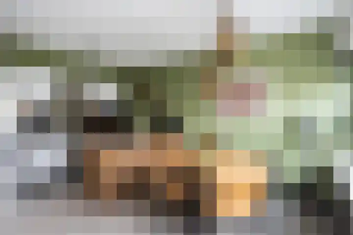 Agnietenhof 31 Dalfsen thumbnail 8