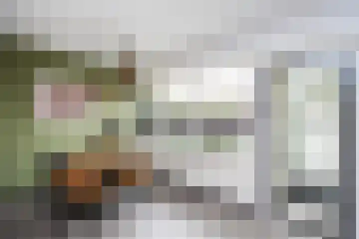 Agnietenhof 31 Dalfsen thumbnail 9