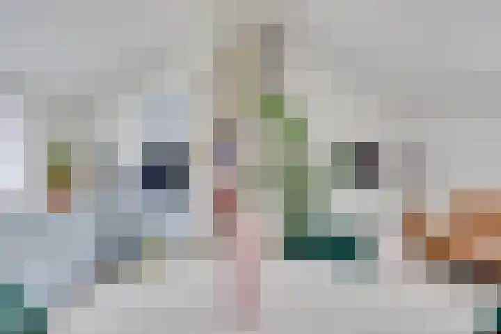 Agnietenhove 47 Leusden thumbnail 10
