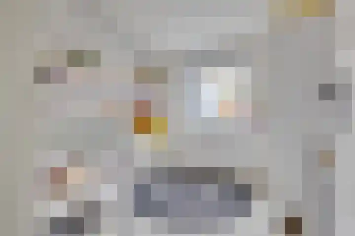 Agnietenhove 47 Leusden thumbnail 14
