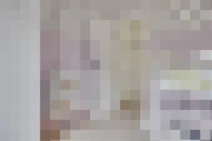 Agnietenhove 47 Leusden thumbnail 16