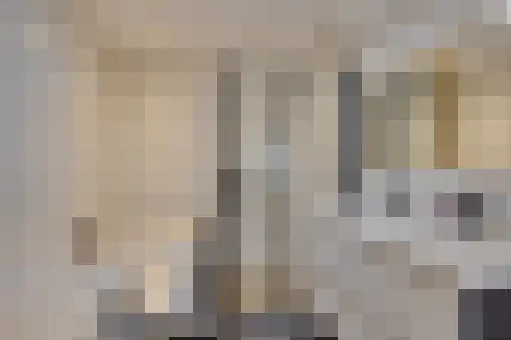 Agnietenhove 47 Leusden thumbnail 18
