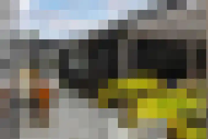 Agnietenhove 47 Leusden thumbnail 20