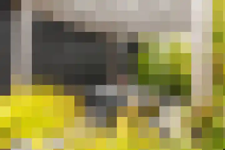 Agnietenhove 47 Leusden thumbnail 21