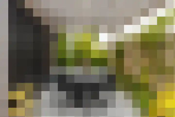 Agnietenhove 47 Leusden thumbnail 22