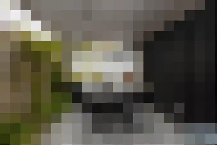 Agnietenhove 47 Leusden thumbnail 23