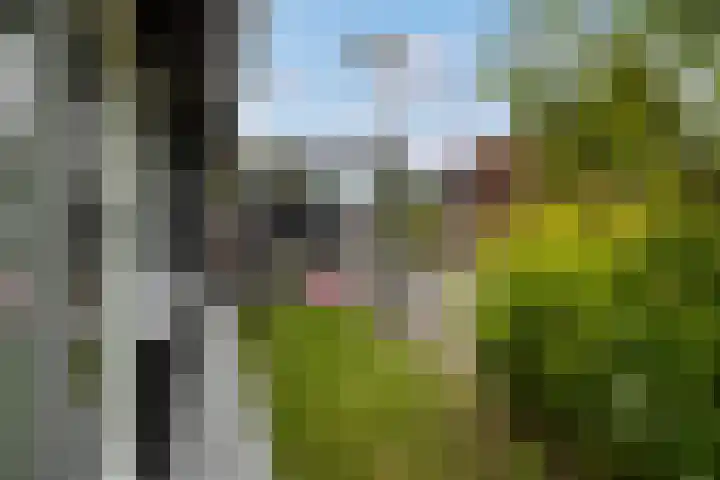 Agnietenhove 47 Leusden thumbnail 24