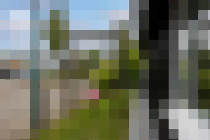 Agnietenhove 47 Leusden thumbnail 25